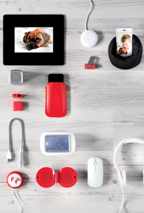 Technology & Accessories