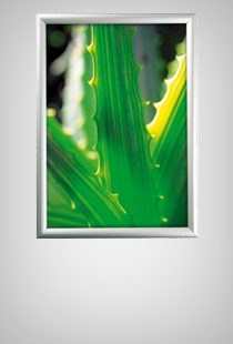 Alu Snap Frame Wall 25 mm silbereloxiert