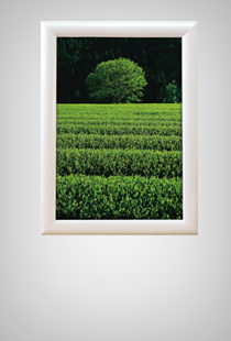 Alu Snap Frame Wall 25 mm Wei�